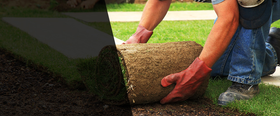 Eagle Point Landscapers